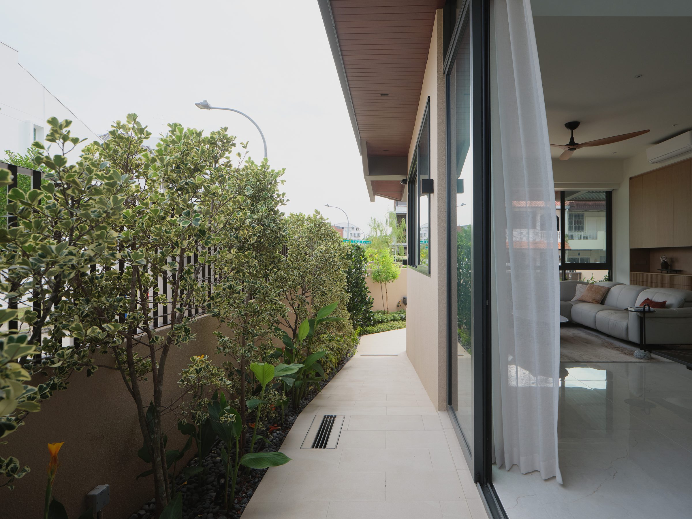 Side garden path running along the living room glazing, with a planting strip and hedge screening the boundary wall