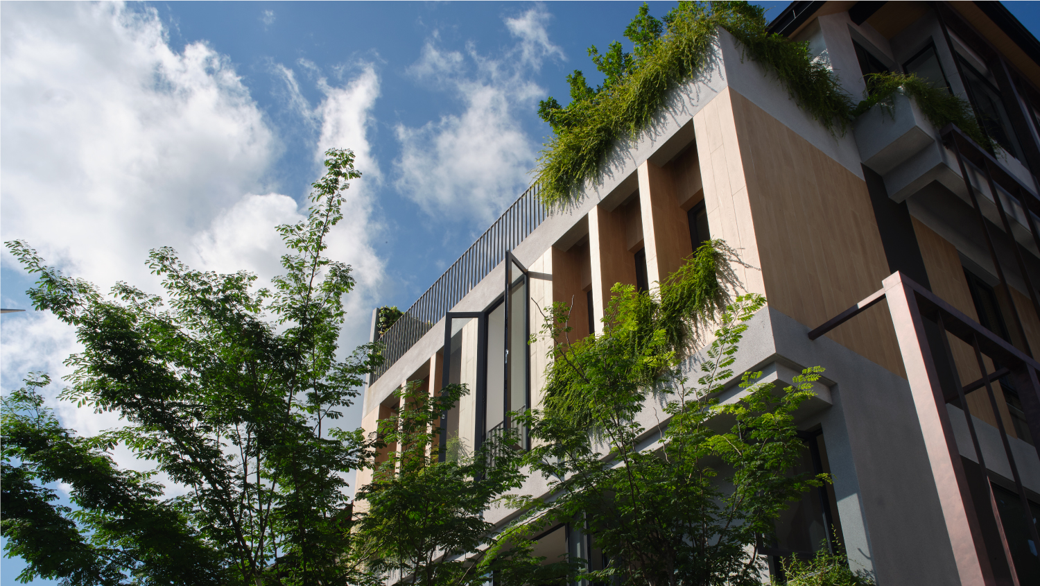 The Outdoor House, a landed home opened up to its garden